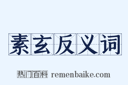 素玄反义词是什么意思的图片